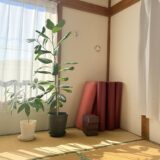 60代の今、静かに教えられていること