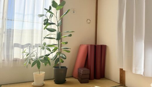 60代の今、静かに教えられていること